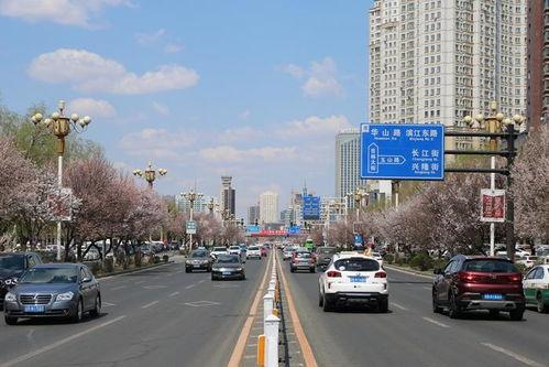 吉林市北大街最新爆料,最新爆料揭秘！